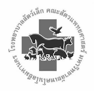 Partner 10 Small Animal Veterinary Teaching Hospital Mahanakorn University Of Technology