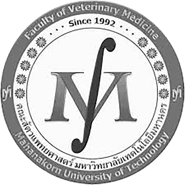 Mahanakorn University of Technology