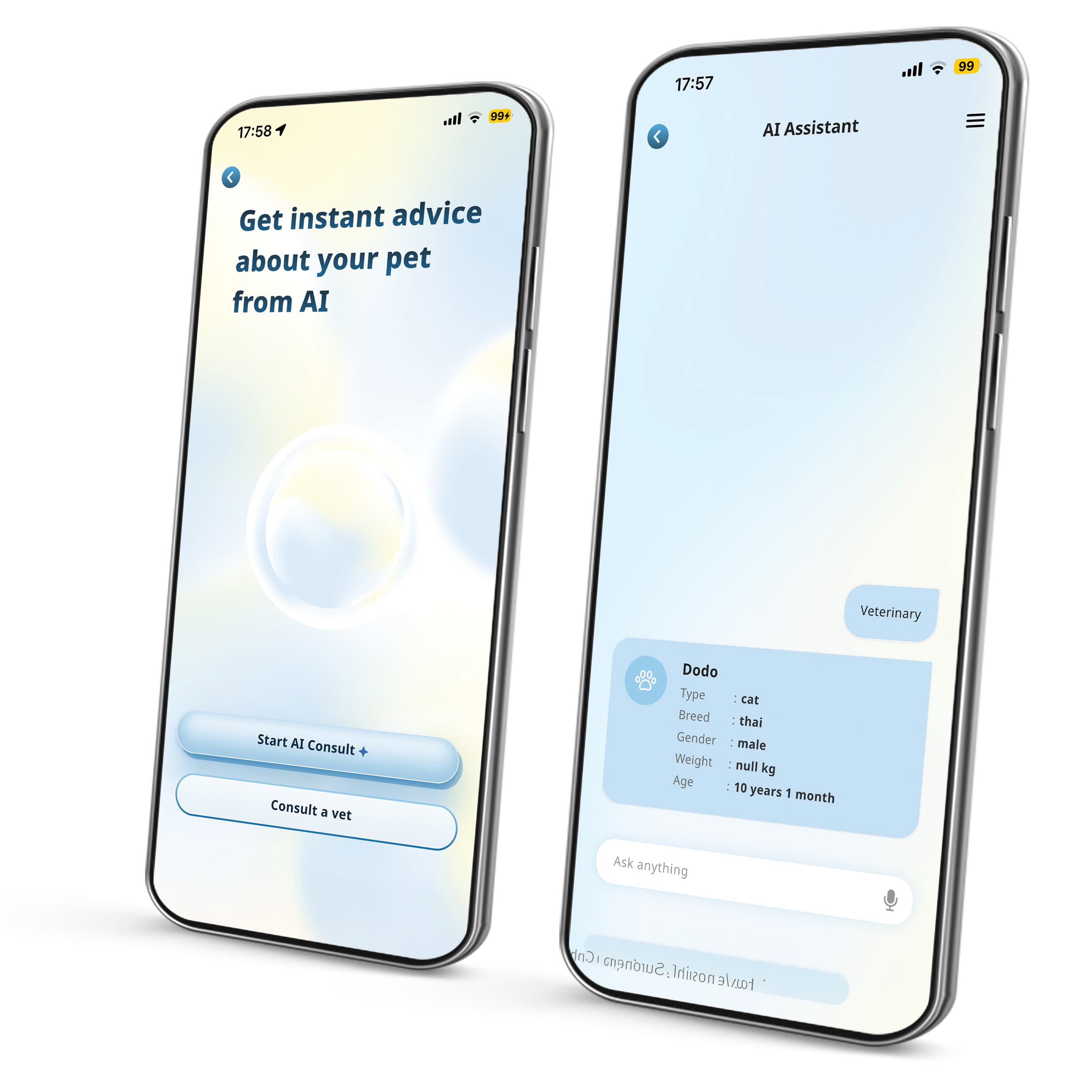 AnyVet AI Chatbot and Vet
