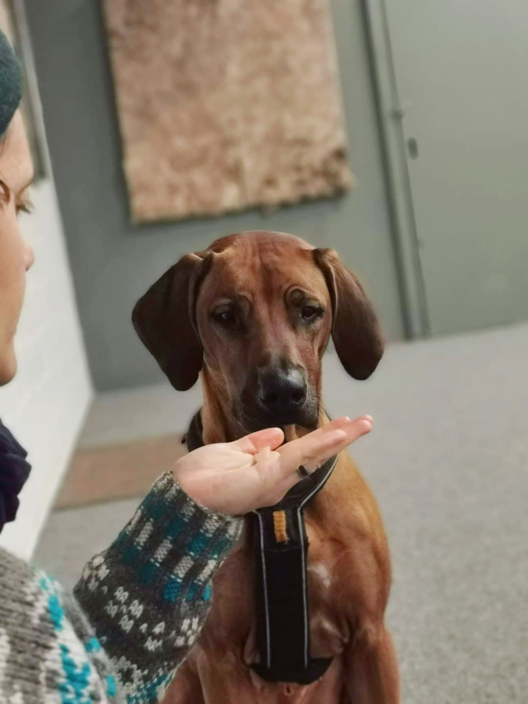 扩大有系统的照护可近性