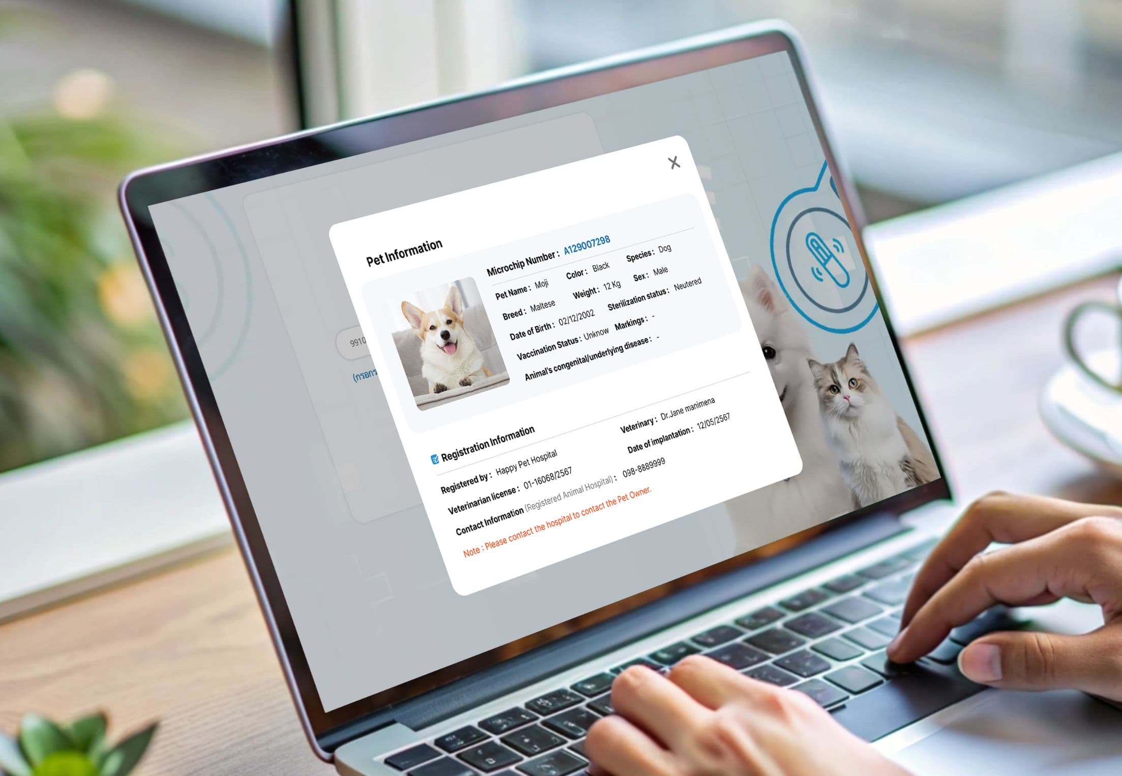 Ứng dụng AnyVet Microchip trên di động
