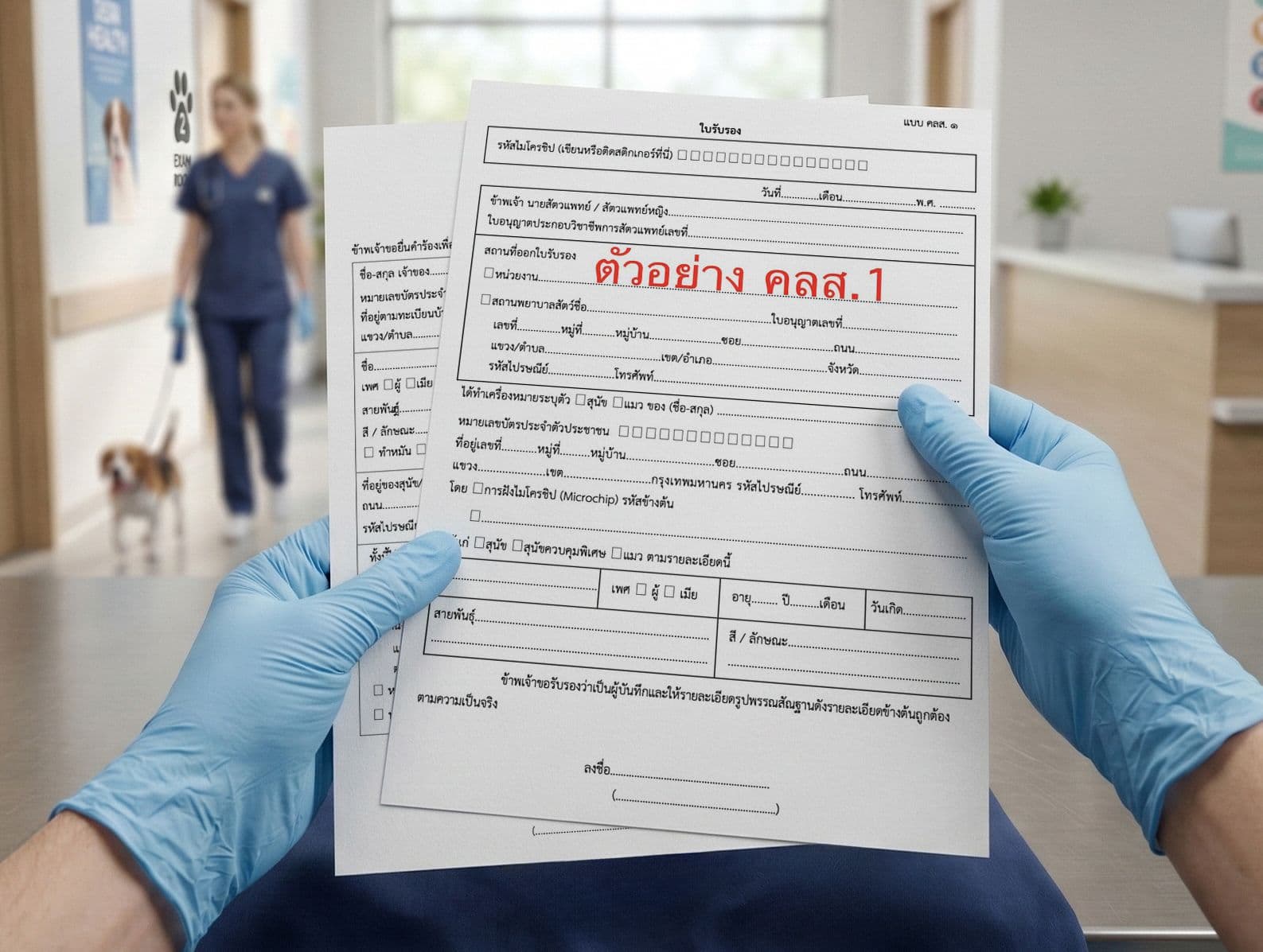 Official government forms and documents