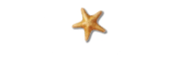 Sealife Bangkok Ocean World